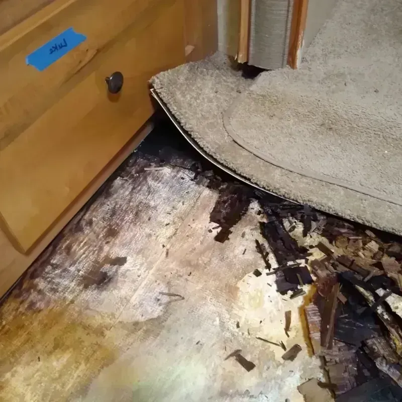 Wood Floor Water Damage in Branson, MO